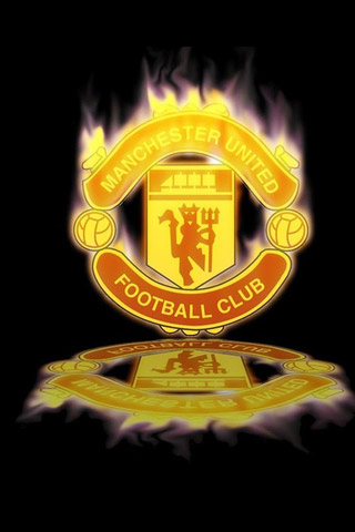 费迪南德还 费迪南德还